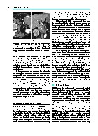 Thumbnail of page 3