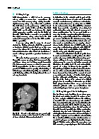 Thumbnail of page 2