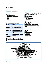 Thumbnail of page 2