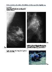 Thumbnail of page 1