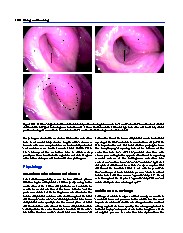 Thumbnail of page 2