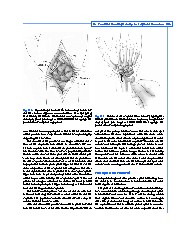 Thumbnail of page 3