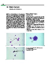 Thumbnail of page 1