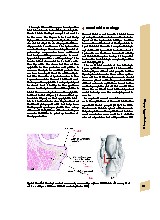Thumbnail of page 2