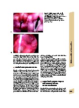 Thumbnail of page 3