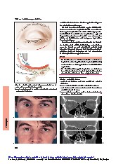Thumbnail of page 3