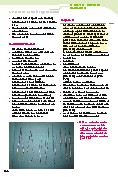 Thumbnail of page 3