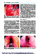 Thumbnail of page 2