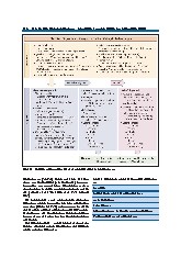Thumbnail of page 3