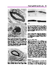 Thumbnail of page 3