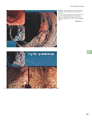 Thumbnail of page 2