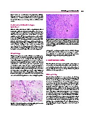 Thumbnail of page 1
