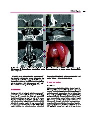 Thumbnail of page 3