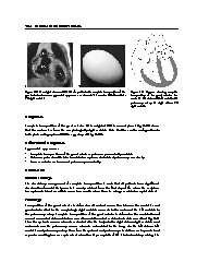 Thumbnail of page 2
