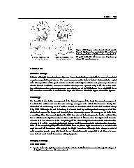 Thumbnail of page 3