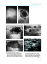 Thumbnail of page 2