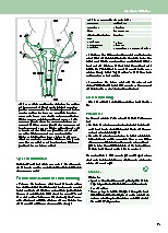 Thumbnail of page 2