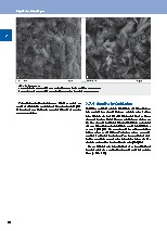 Thumbnail of page 3