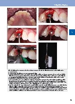 Thumbnail of page 3