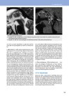 Thumbnail of page 2