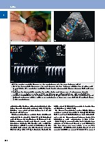 Thumbnail of page 3