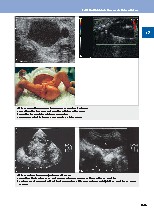 Thumbnail of page 3