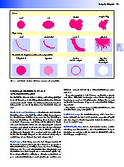 Thumbnail of page 2