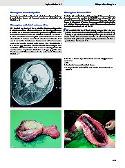Thumbnail of page 2