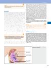Thumbnail of page 2