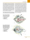 Thumbnail of page 3