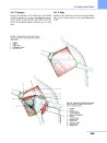 Thumbnail of page 3