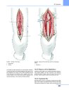 Thumbnail of page 3