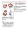 Thumbnail of page 3