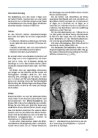 Thumbnail of page 2