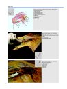 Thumbnail of page 2