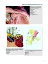 Thumbnail of page 2