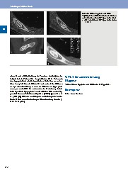 Thumbnail of page 2