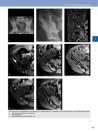 Thumbnail of page 2
