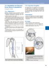Thumbnail of page 3