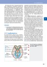 Thumbnail of page 3