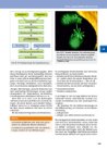 Thumbnail of page 2