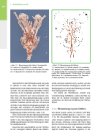 Thumbnail of page 2