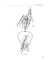 Thumbnail of page 3