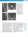 Thumbnail of page 2