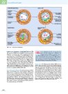 Thumbnail of page 2