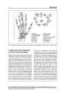 Thumbnail of page 2