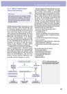 Thumbnail of page 3