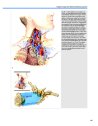 Thumbnail of page 2