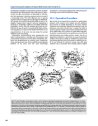 Thumbnail of page 3