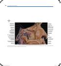 Thumbnail of page 3